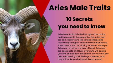 about aries man|about aries male.